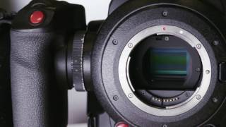 What You Need to Know  Canon C100 Mark II [upl. by Anavoj]