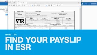 How to find your Payslip in ESR [upl. by Aneloaup]