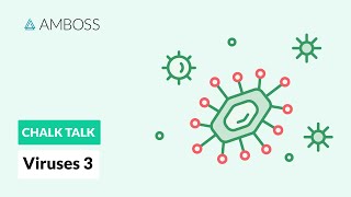 Viruses  Part 3 Viral Replication Process [upl. by Leonanie]