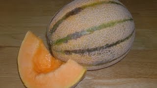 When is it ripe Tuscan Style Muskmelon [upl. by Lilahk]