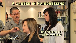 Hairdressing Careers [upl. by Hamlen]