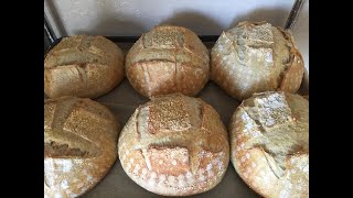 Sourdough Polenta Bread Recipe [upl. by Eillac511]