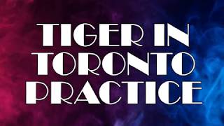 TIGER IN TORONTO PRACTICE  JAFFERY´S [upl. by Ingaberg]