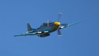 P51 Mustang  pure Merlin Sound no announcer [upl. by Velma395]