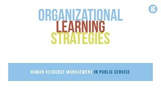 Organizational Learning Strategies [upl. by Lomasi]