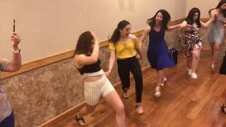 Lebanese Dabke Ladies [upl. by Sartin]