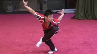 Wushu Eagle Style Form  Instructional [upl. by Sandberg57]