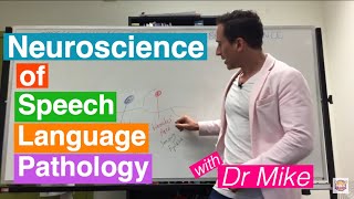 Neuroscience of Speech Language Pathology SLP [upl. by Violetta]