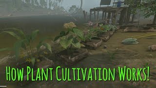 Everything You Need To Know About Plant Cultivation  Green Hell [upl. by Adahsar]