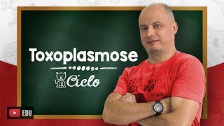 Ciclo da Toxoplasmose I Parasitologia [upl. by Ppilihp]