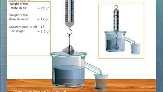 Verification of Archimedes Principle [upl. by Polivy]