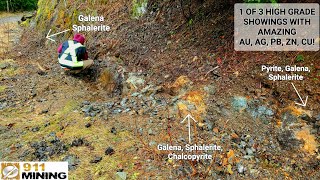 These Three Large Rich Gold Bearing VMS Deposits Need Trenching [upl. by Bridie]