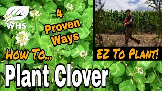 Best Way to Plant Clover [upl. by Inobe]