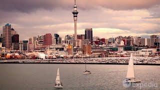 Auckland  City Video Guide [upl. by Ived]