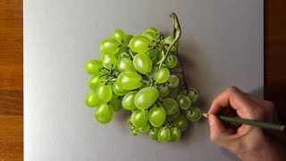 Drawing grapes in 6 hours without stopping [upl. by Keslie121]