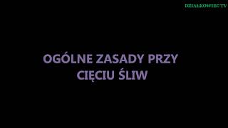 CIĘCIE ŚLIWY  cz 1  zasady ogólne [upl. by Coretta]