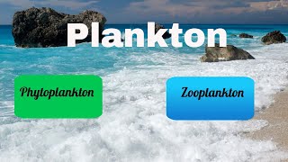 Difference between Zooplankton and Phytoplankton [upl. by Aneekan]