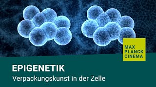 Epigenetik  Verpackungskunst in der Zelle [upl. by Nahamas]