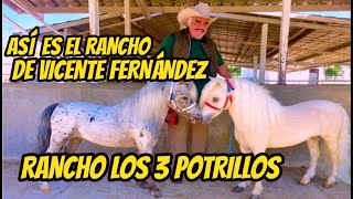 El Rancho de Vicente Fernandez los 3 potrillos la Casa de Vicente Fernandez [upl. by Cart573]