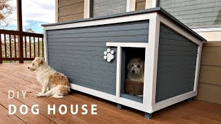 DIY Insulated Dog House Build [upl. by Toft4]