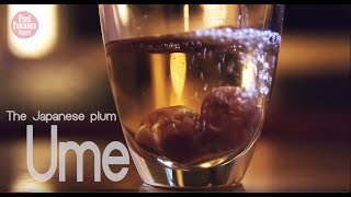 Ume  Japanese Plum Part 1 [upl. by Prebo]