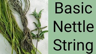 Basic Nettle String [upl. by Oicatsana]