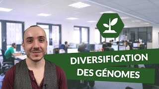 Diversification des génomes  SVT  digiSchool [upl. by Convery]