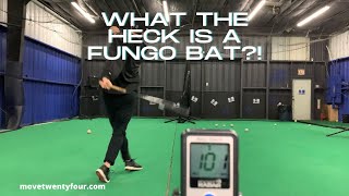 What Is A Fungo amp Why Do All Coaches Need One [upl. by Refinneg]