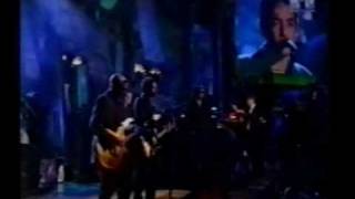 The Wallflowers  Heroes  Live 1998 [upl. by Dong]