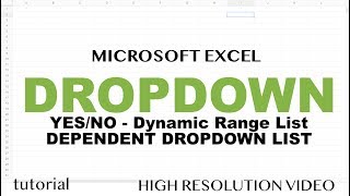 Excel  Drop Down List Tutorial  How to Create YesNo List Dynamic Range Dependent Drop Down List [upl. by Wolram375]