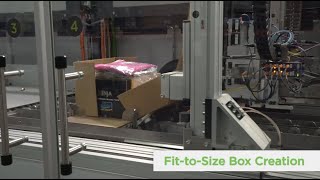 CVP Automated Packaging Solution [upl. by Enylhsa]