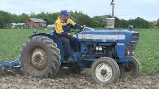 FORD 3000 AND OLIVER CULTIVATOR [upl. by Soilissav]