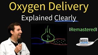 Oxygen Delivery amp Consumption Explained Clearly  Remastered [upl. by Netsirhc]