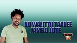 Jambo Jote Nu Walittii Taanee New Oromo Music 2019 [upl. by Miyasawa339]