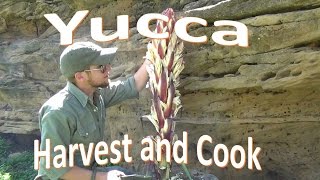 How to Harvest and Cook Yucca [upl. by Jamil]