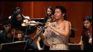 JSBACH Oboe damore Concerto [upl. by Stearne]