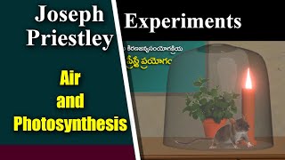 Joseph Priestley Experiment [upl. by Tedric412]