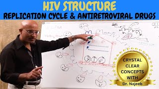 HIV AIDS  Sign Symptoms Transmission amp Treatment  Dr Najeeb🩺 [upl. by Eardnaed]