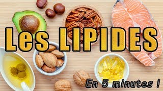 Les LIPIDES en 5 minutes [upl. by Lenna]