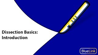 Dissection Basics  Introduction [upl. by Yunick]