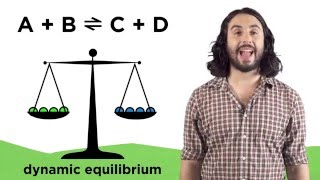 Chemical Equilibria and Reaction Quotients [upl. by Euqinimod]