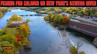 Oswego River Salmon Fishing [upl. by Elinor201]