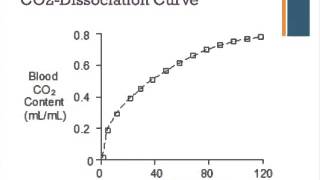 Oxygen and Carbon Dioxide Dissociation Curves [upl. by Allimak247]