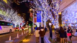 六本木ヒルズ イルミネーション  Roppongi Hills Illumination [upl. by Missi]