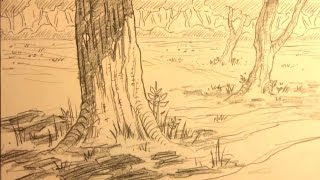 How to Draw Forest Backgrounds for Manga [upl. by Anorahs]