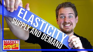 How To Understand Elasticity Economics [upl. by Akehsyt]