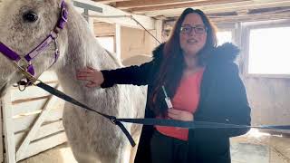 Administering IM Injection on a Horse [upl. by Charlet]