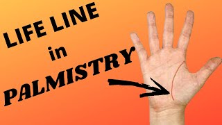 Life Line in Palmistry [upl. by Aninep564]