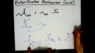 How to Make Esters Mechanism [upl. by Parsifal]