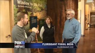 Friends of the Florissant National Fossil Beds [upl. by Anibor464]